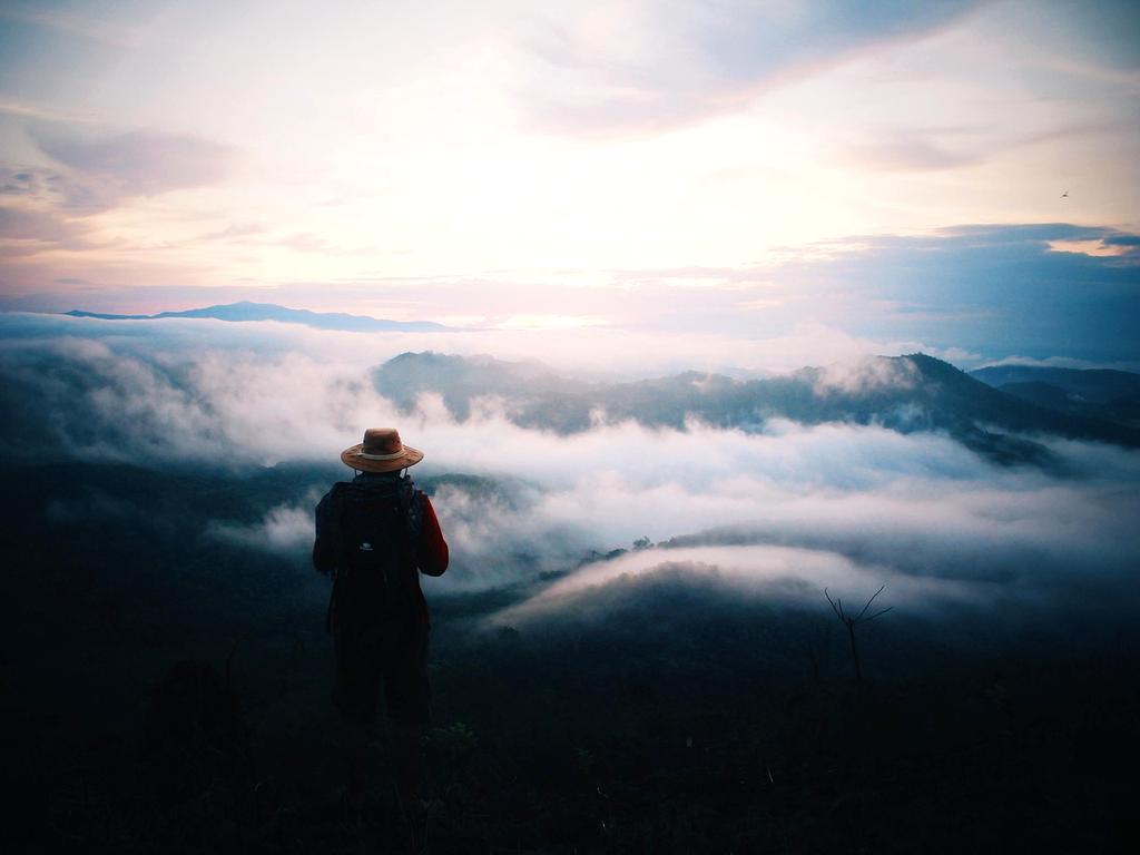 Person guiding group outdoors in nature