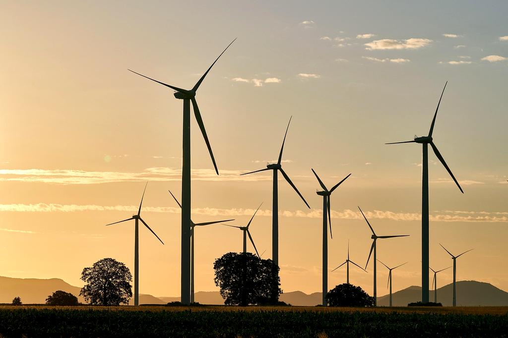 Environmental impact visualization