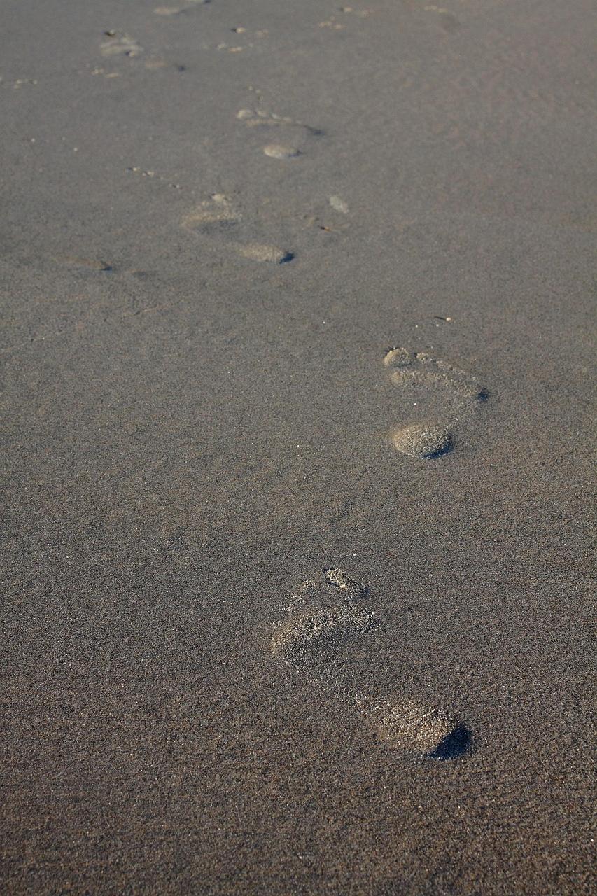 Measuring ecological footprint illustration
