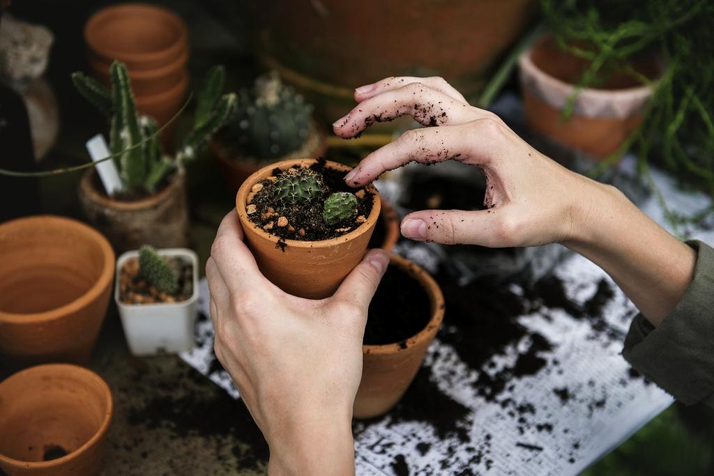 Hands holding soil and plant symbolizing natural resources