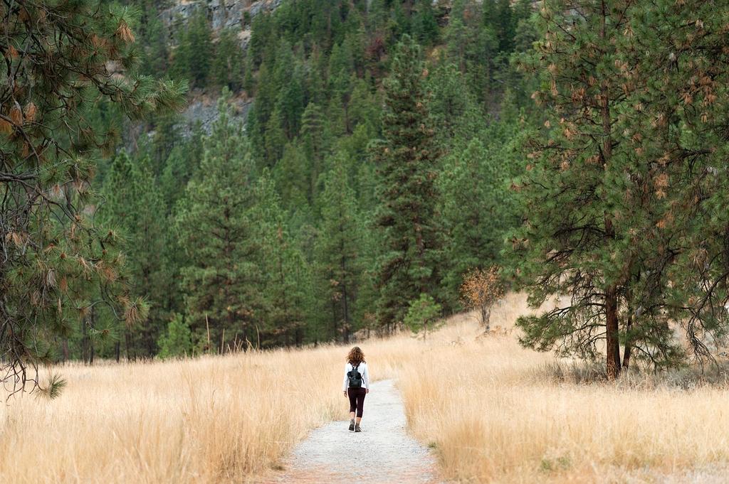 Starting path in nature