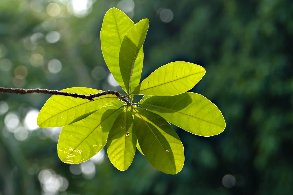Sustainable future concepts illustrated